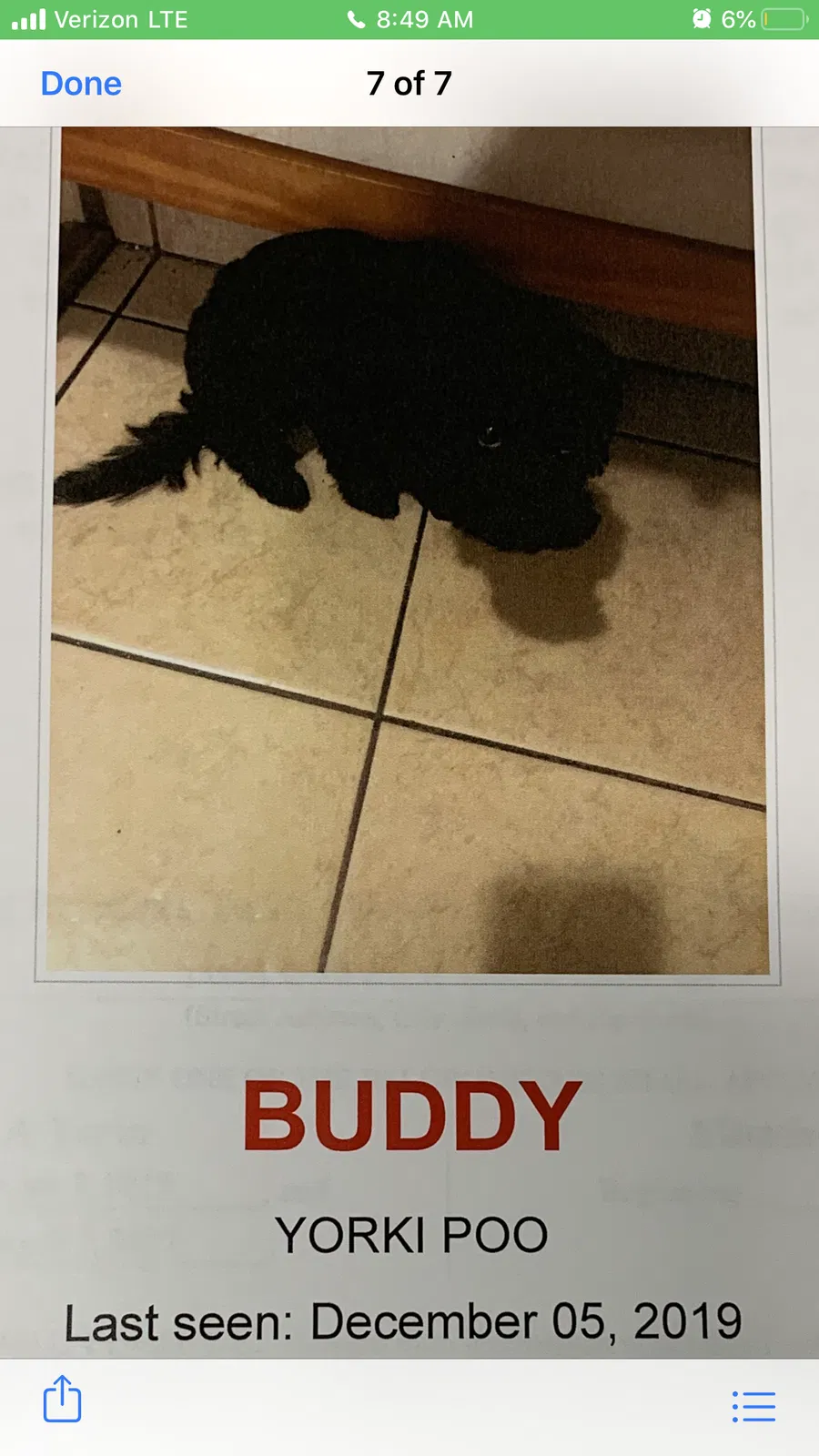 Lost dog in Oak Park, MI, 48237
