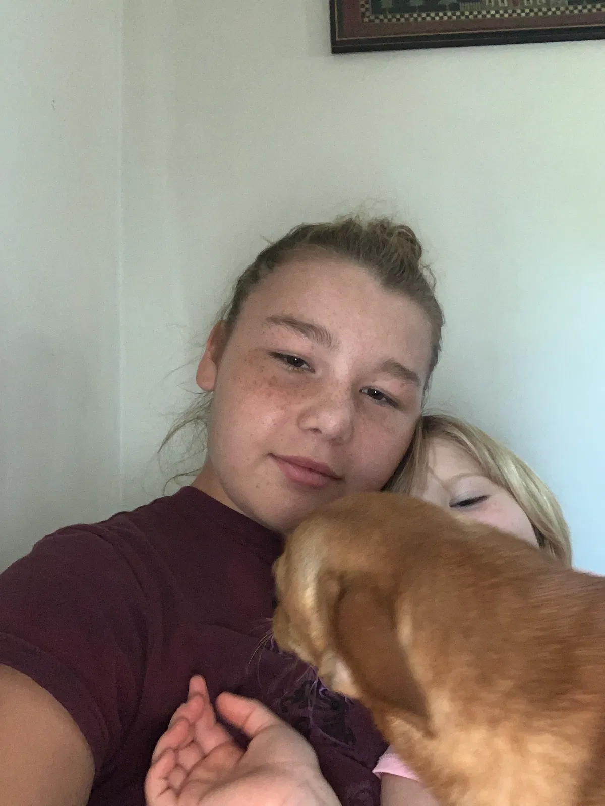 Lost dog in Fair Grove, MO, 65648