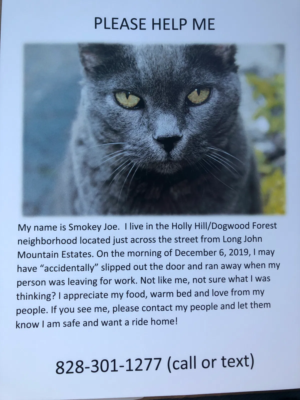 Lost cat in Hendersonville, NC, 28791