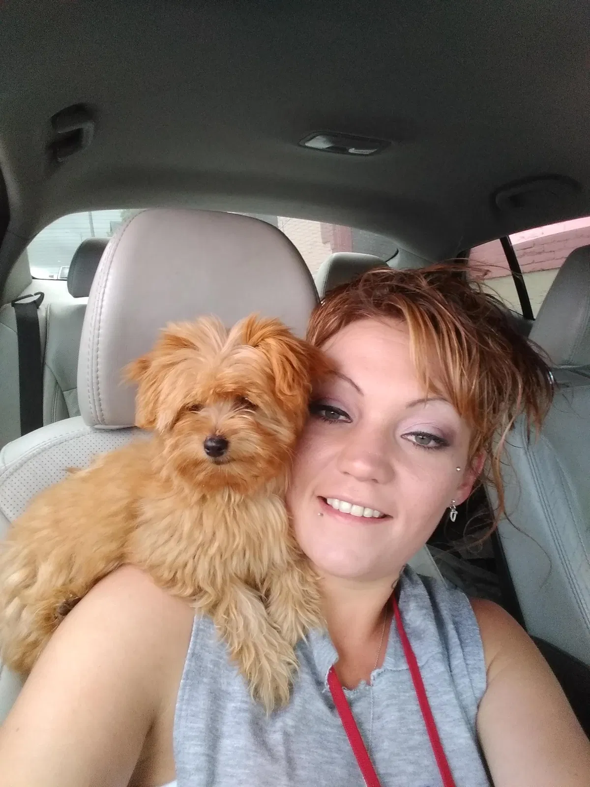 Lost dog in Missoula, MT, 59808