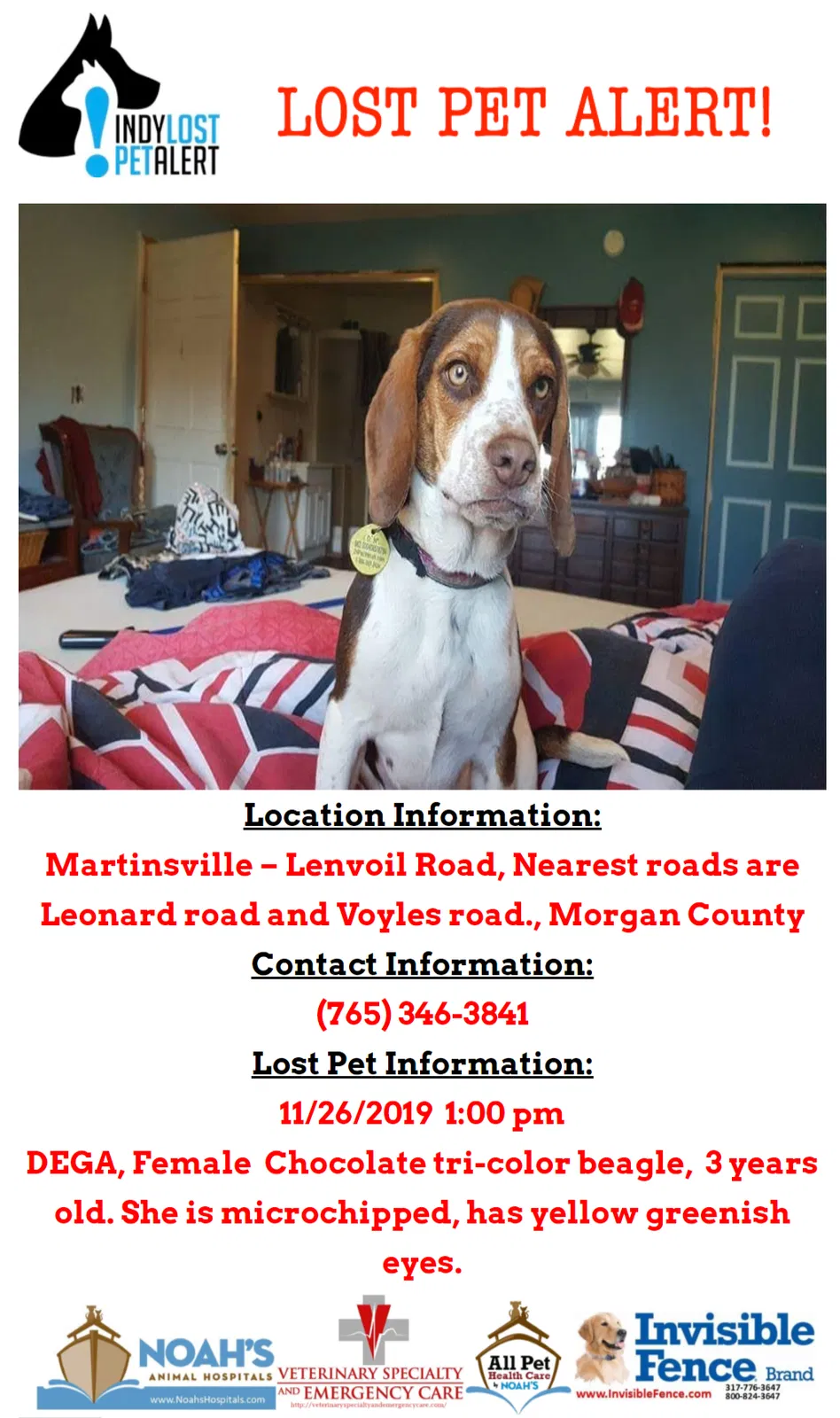 Lost dog in Martinsville, IN, 46151