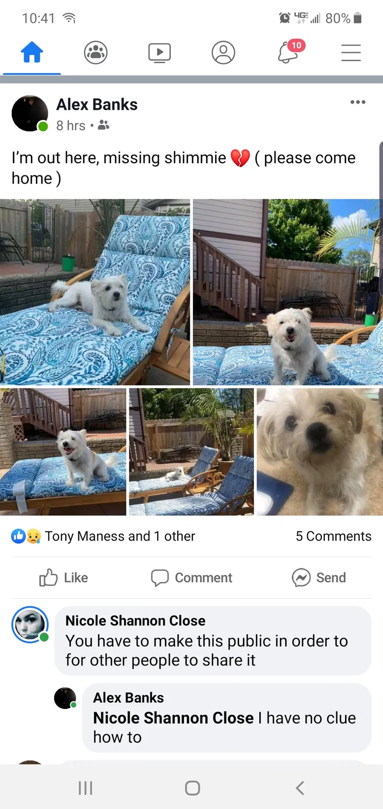 Lost dog in Wichita, KS, 67216