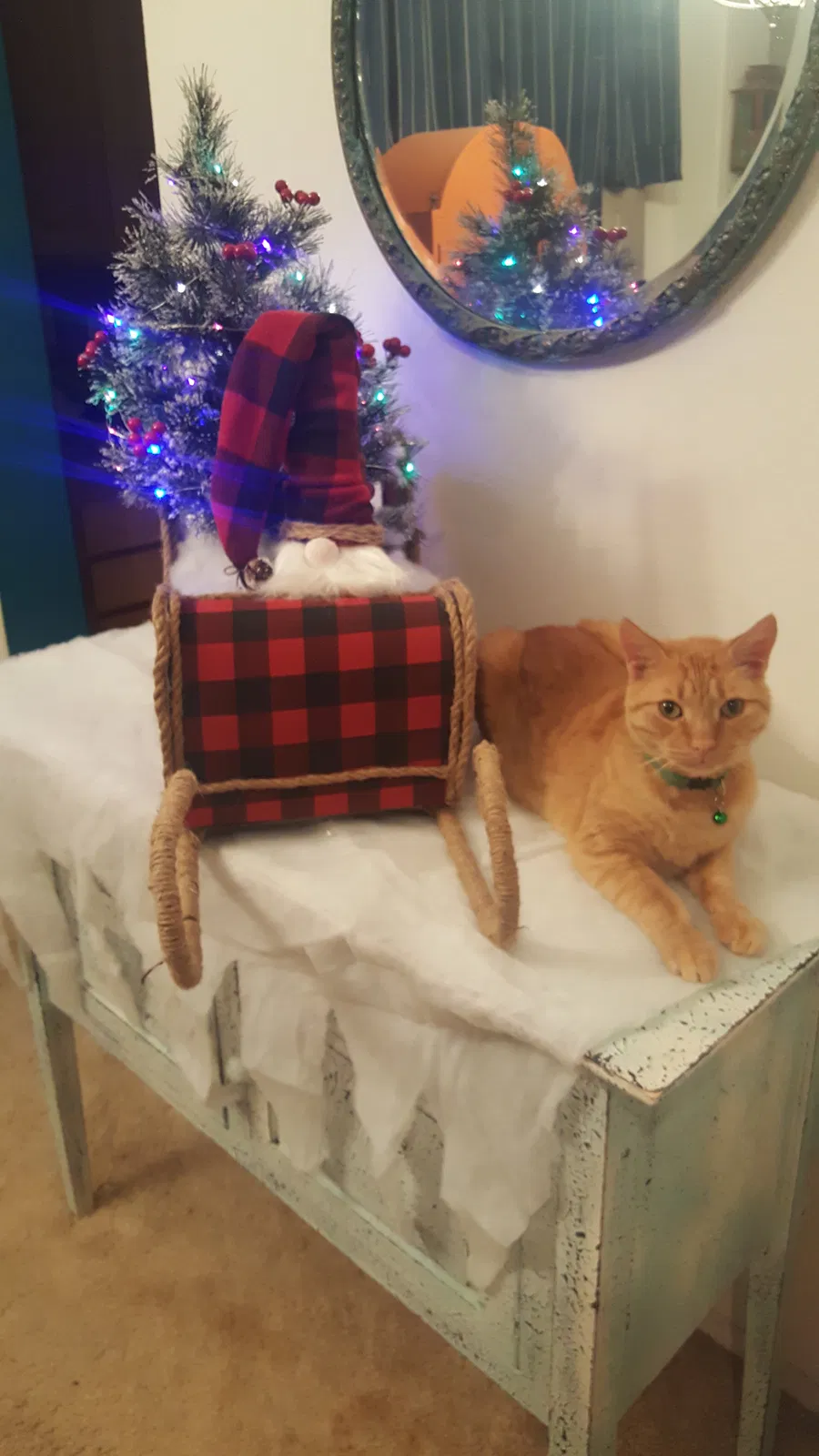 Lost cat in Yucaipa, CA, 92399