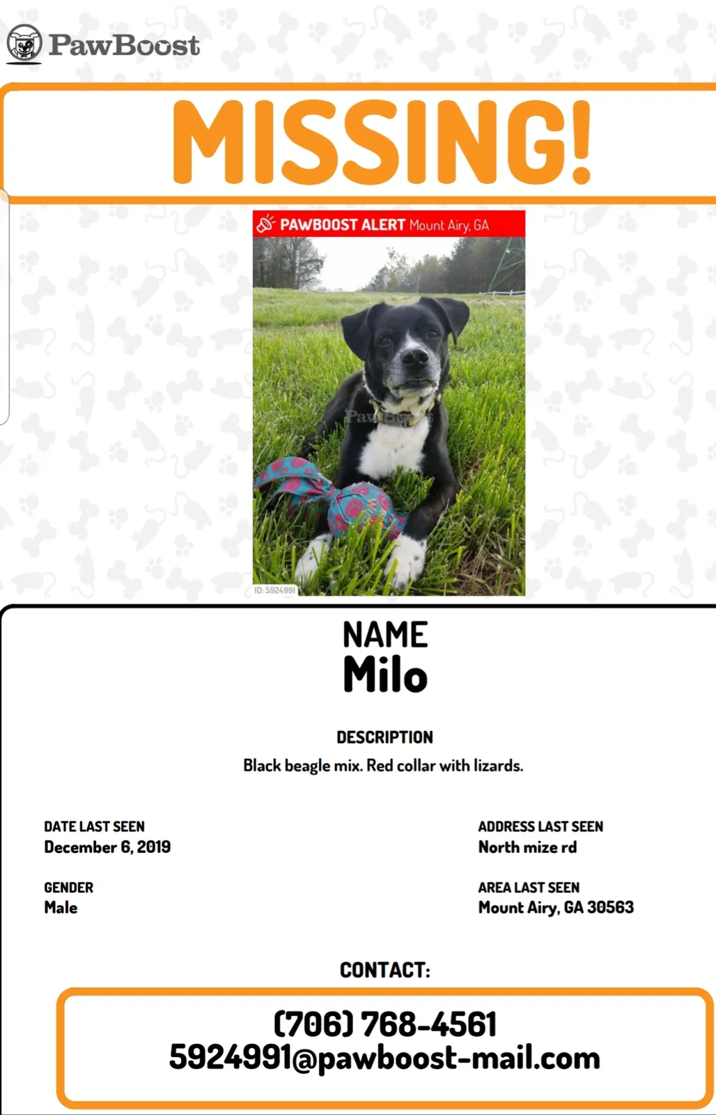 Lost dog in Mount Airy, GA, 30563