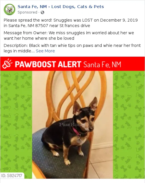 Lost dog in Las Vegas, NM, 87121