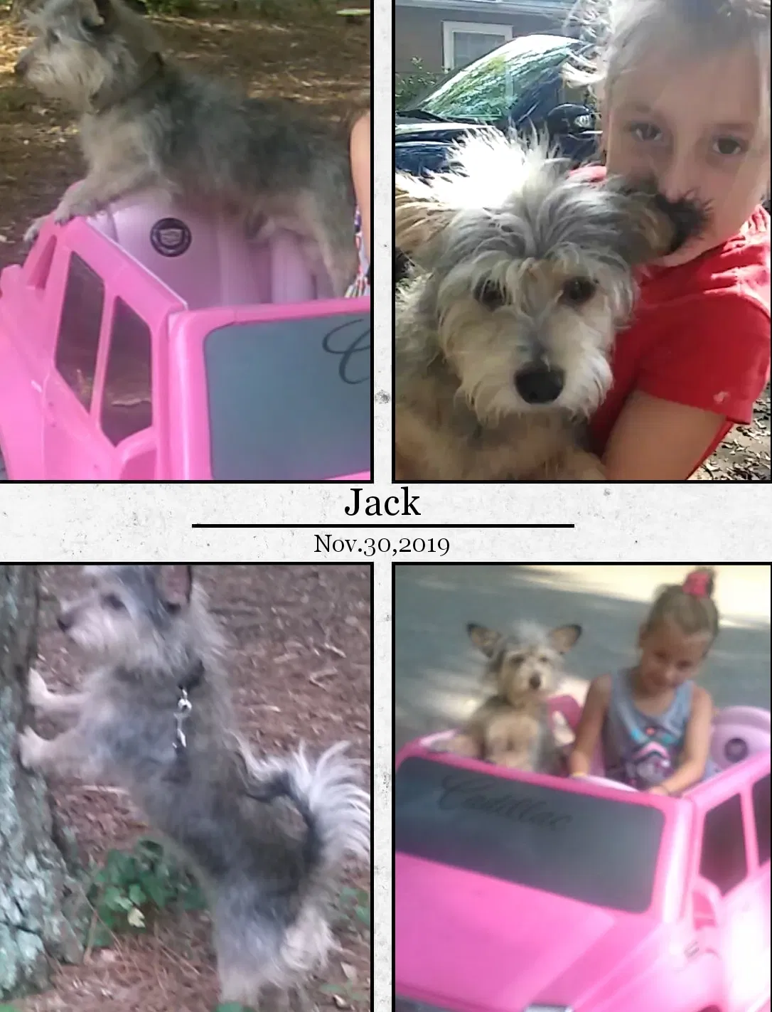 Lost dog in Mableton, GA, 30126