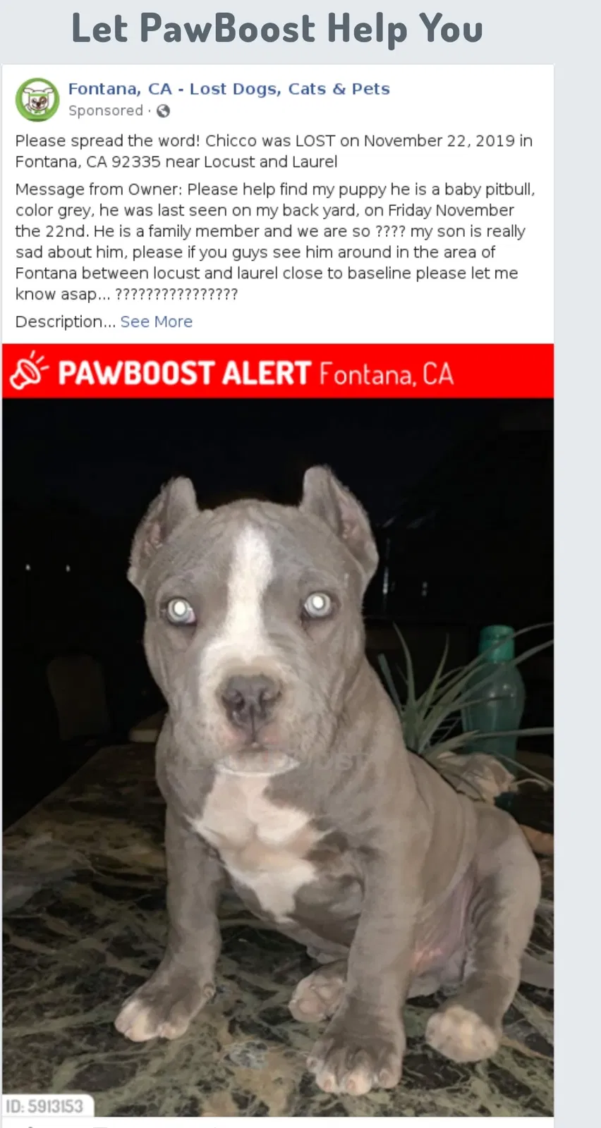 Lost dog in Fontana, CA, 92335