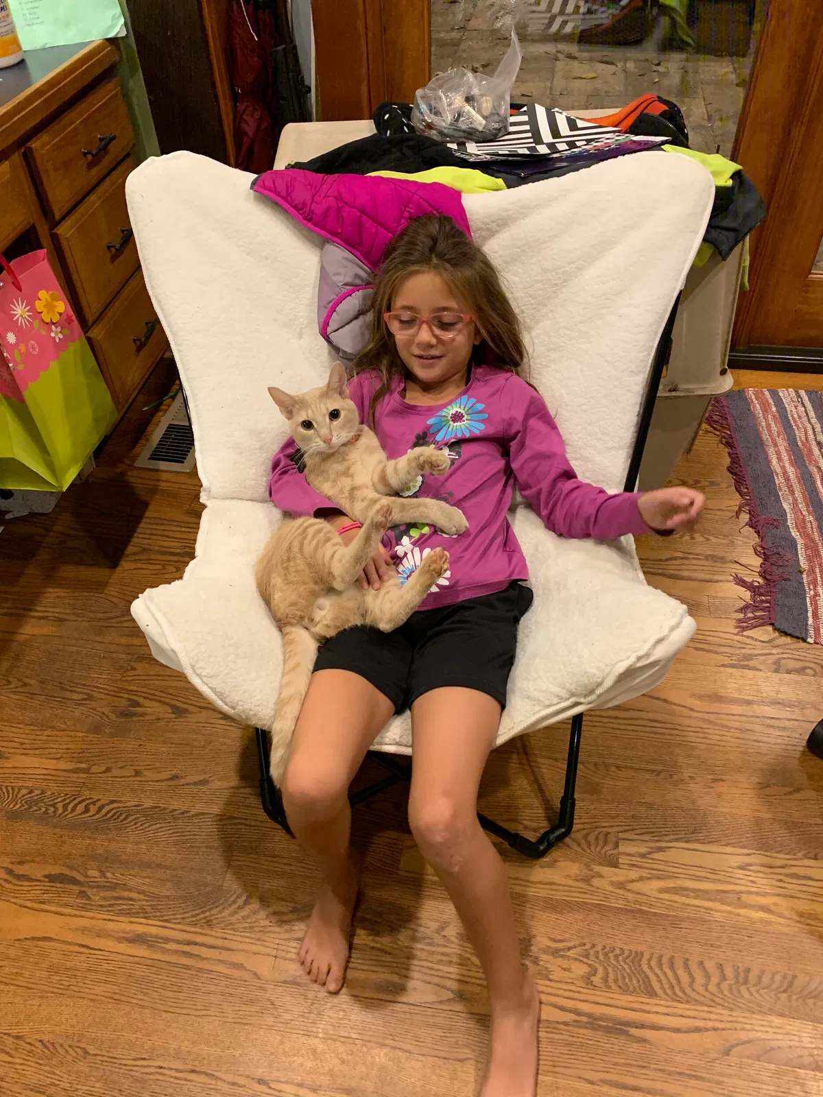 Lost cat in Knoxville, TN, 37919