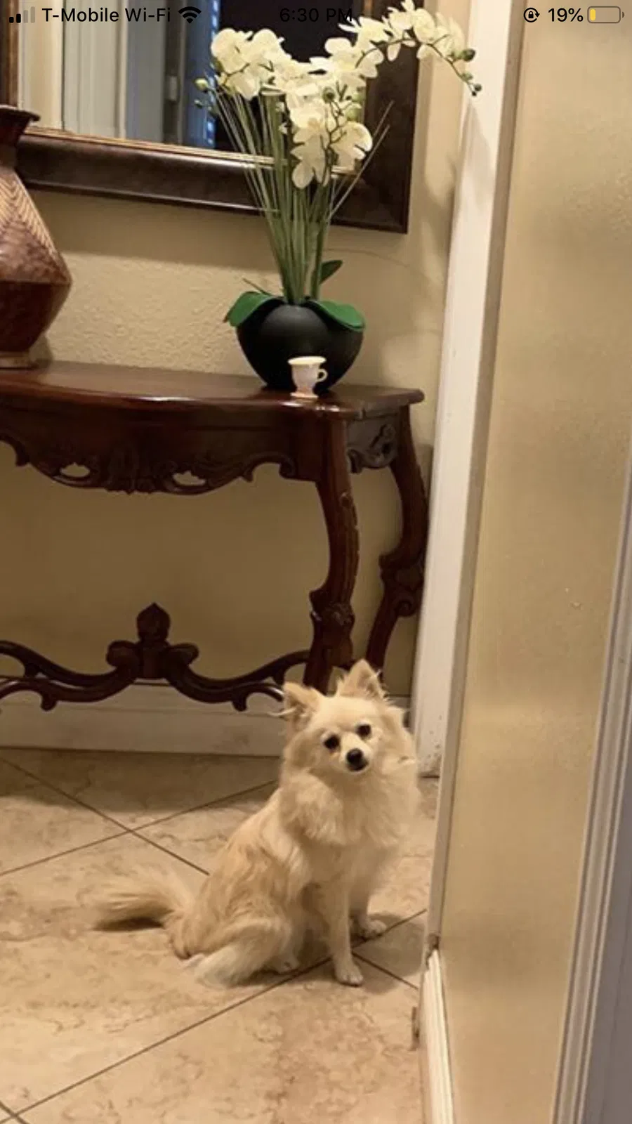 Lost dog in Perris, CA, 92570