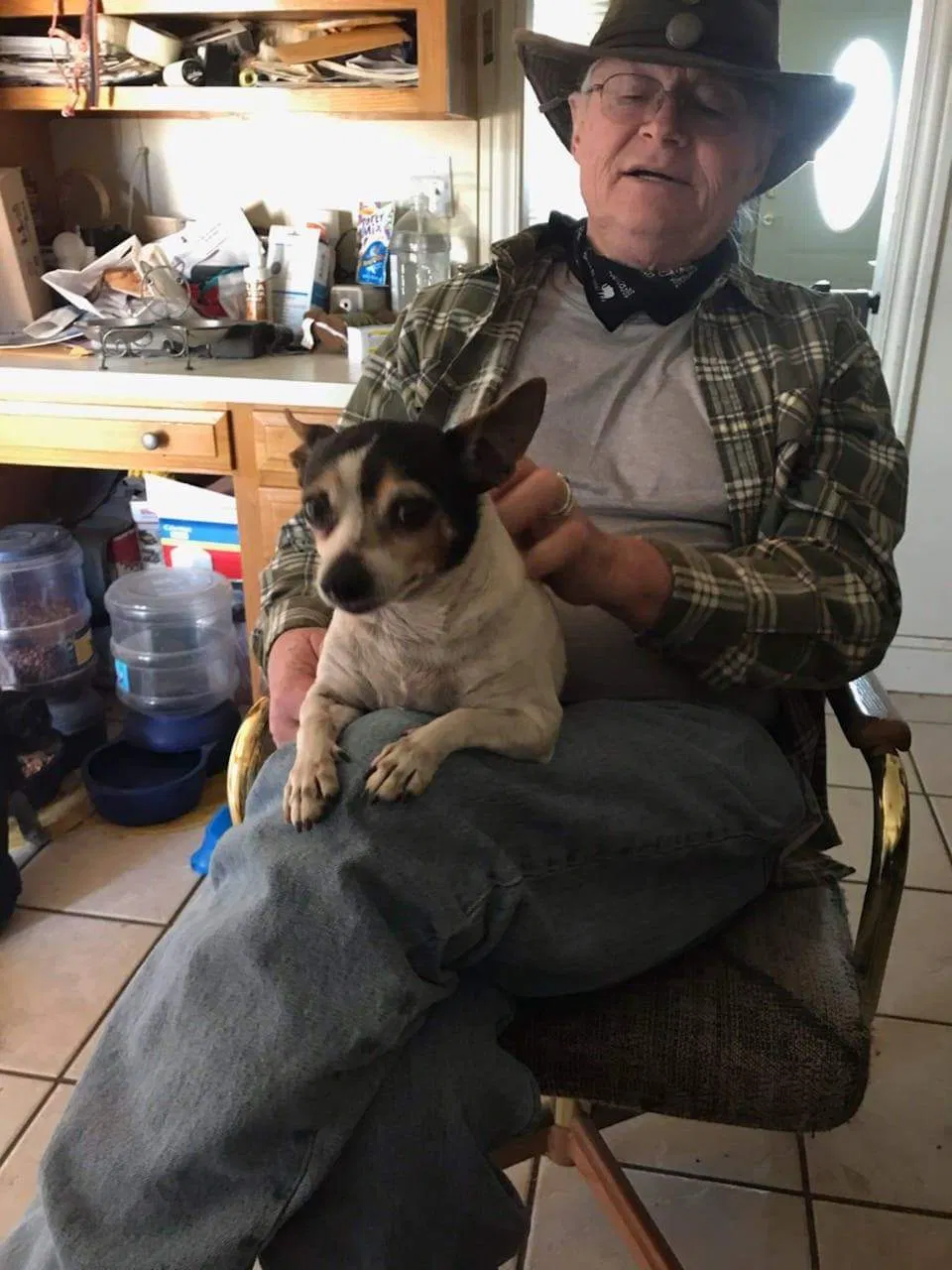 Lost dog in Midland, TX, 79701