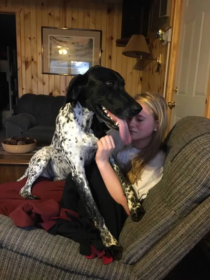 Lost dog in Royalton, MN, 56373