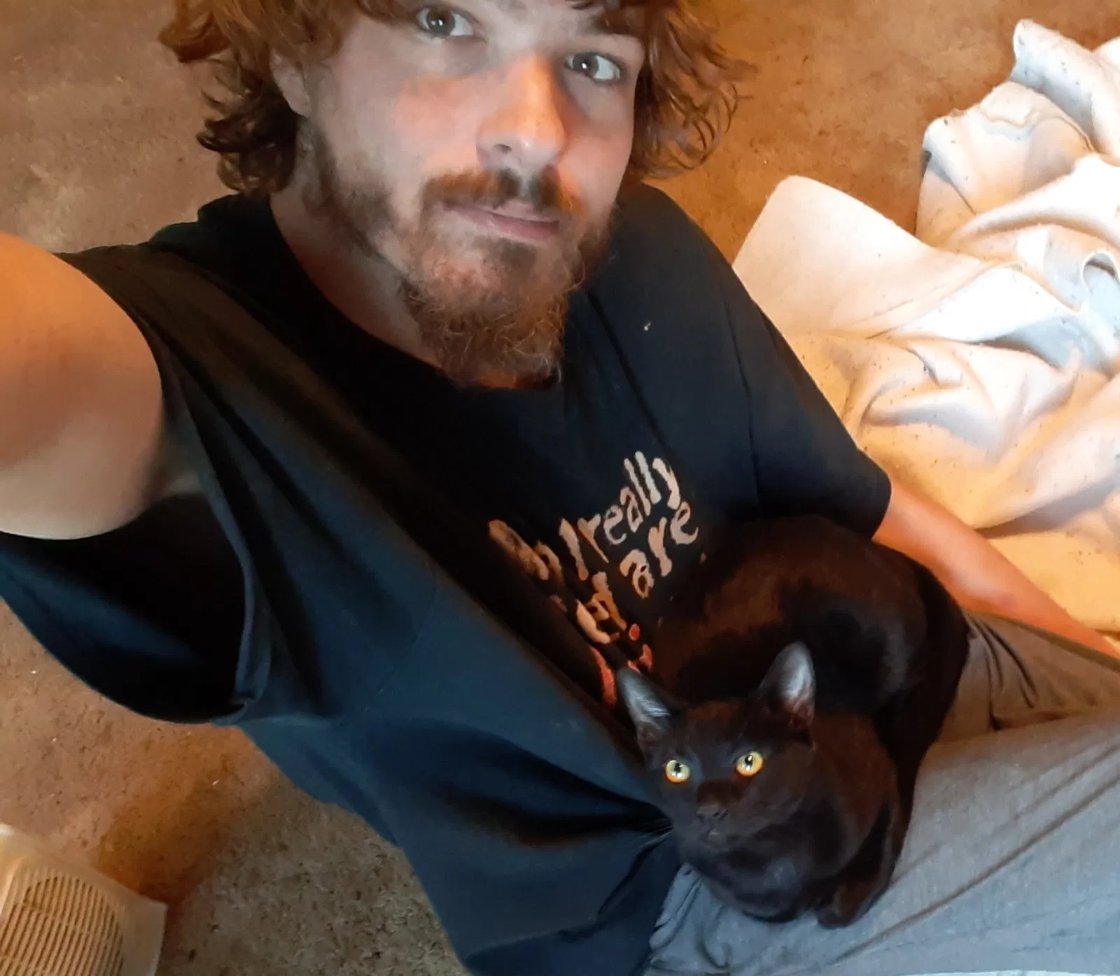 Lost cat in Fair Oaks, CA, 95628