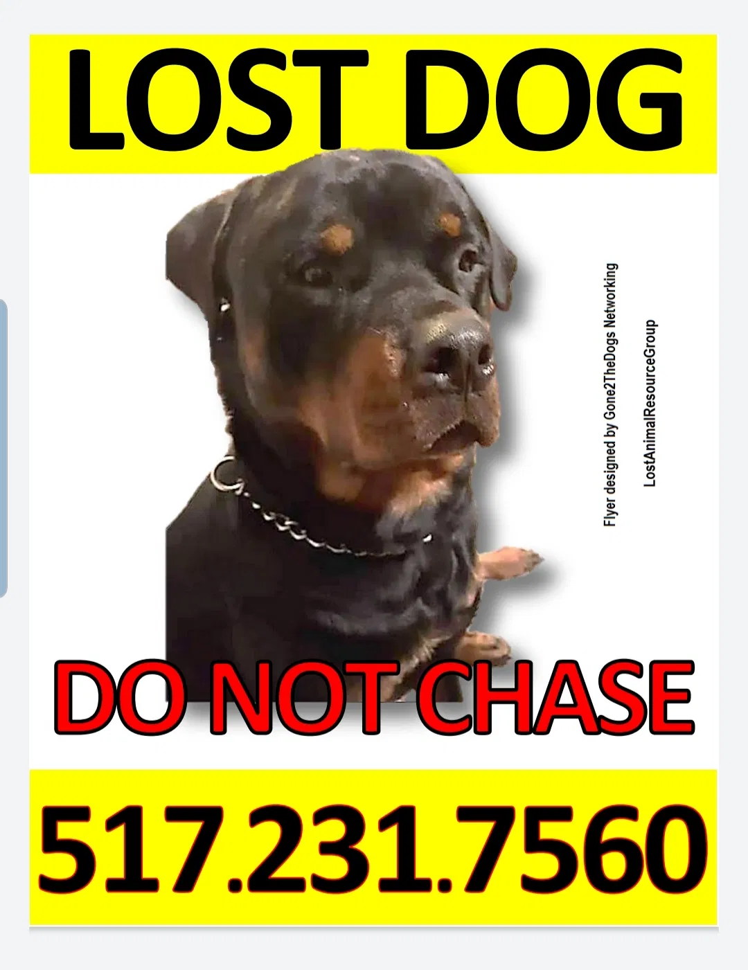Lost dog in Olivet, MI, 49076