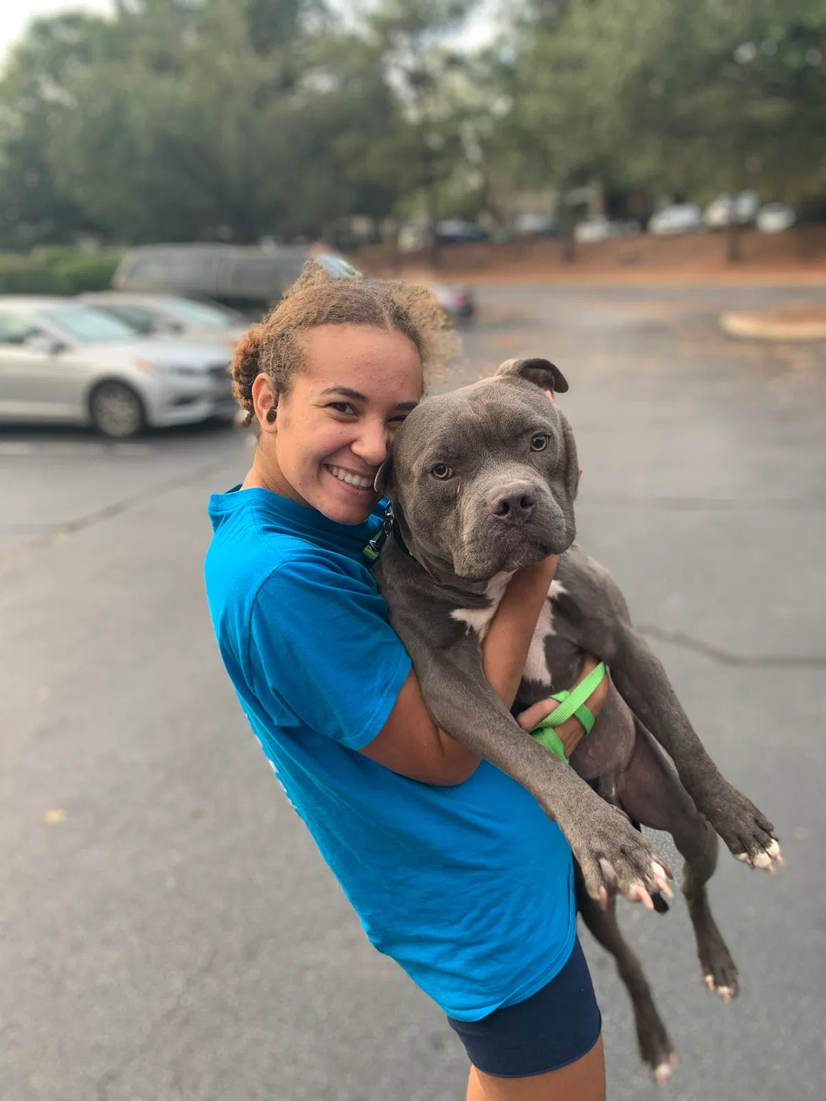 Lost dog in Mauldin, SC, 29662