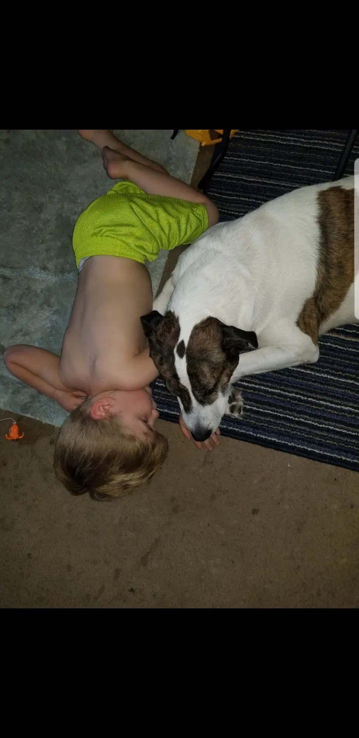 Lost dog in Columbus, OH, 43229