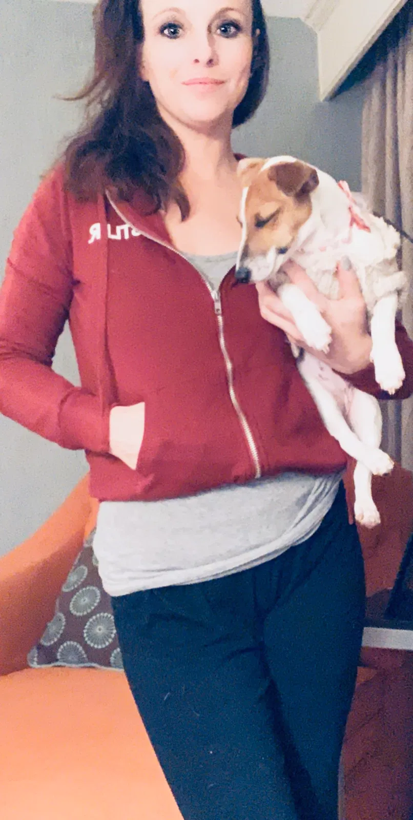 Lost dog in Saint Ann, MO, 63074