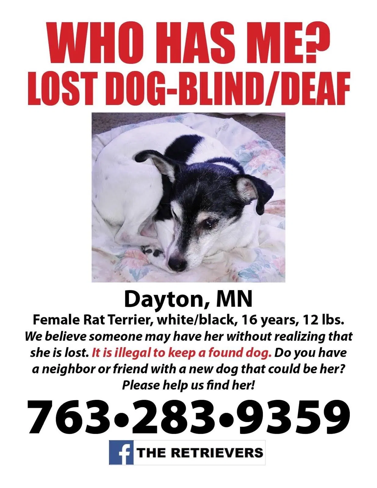Lost dog in Dayton, MN, 55327