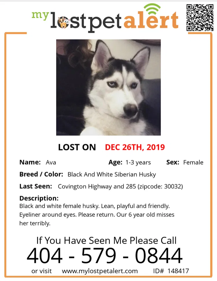 Lost dog in Atlanta, GA, 30307