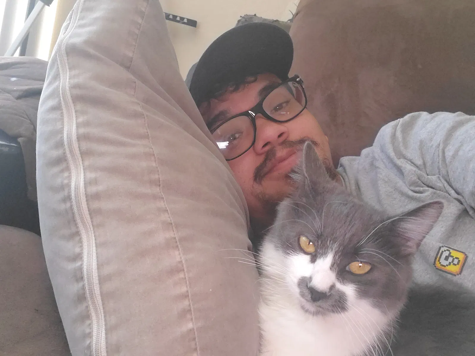 Lost cat in Buena Park, CA, 90621