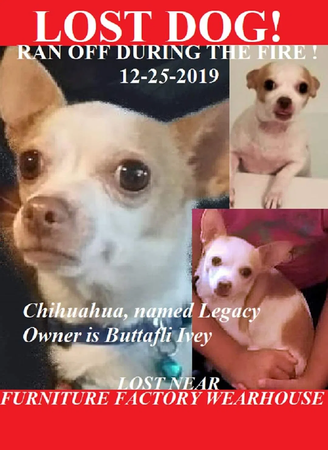 Lost dog in Waxhaw, NC, 28173