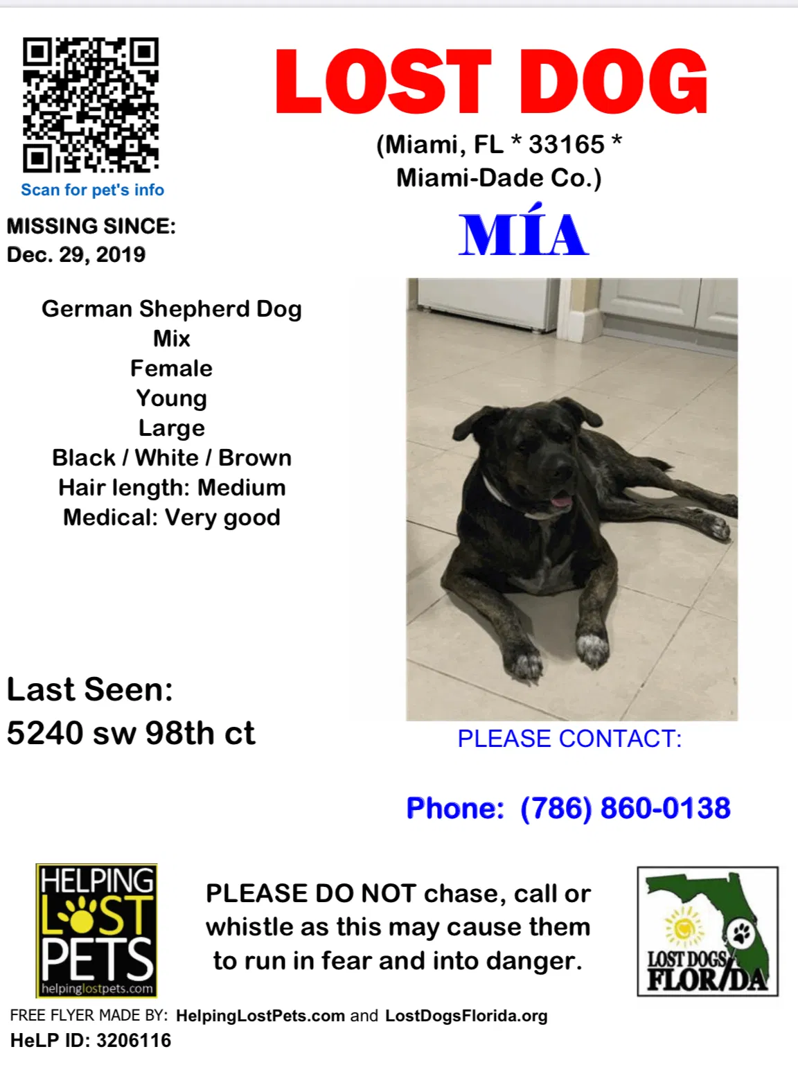 Lost dog in Miami, FL, 33165