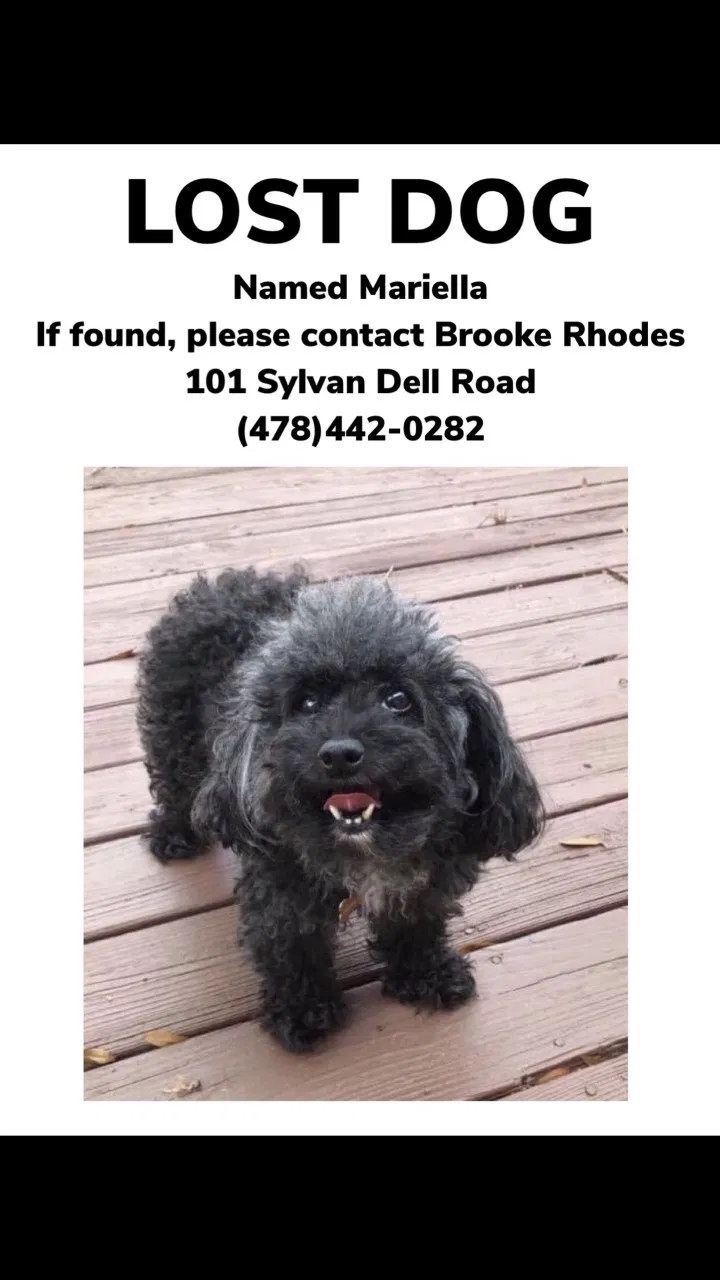 Lost dog in Fort Valley, GA, 31030
