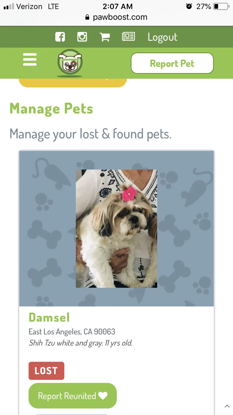 Lost dog in Los Angeles, CA, 90063