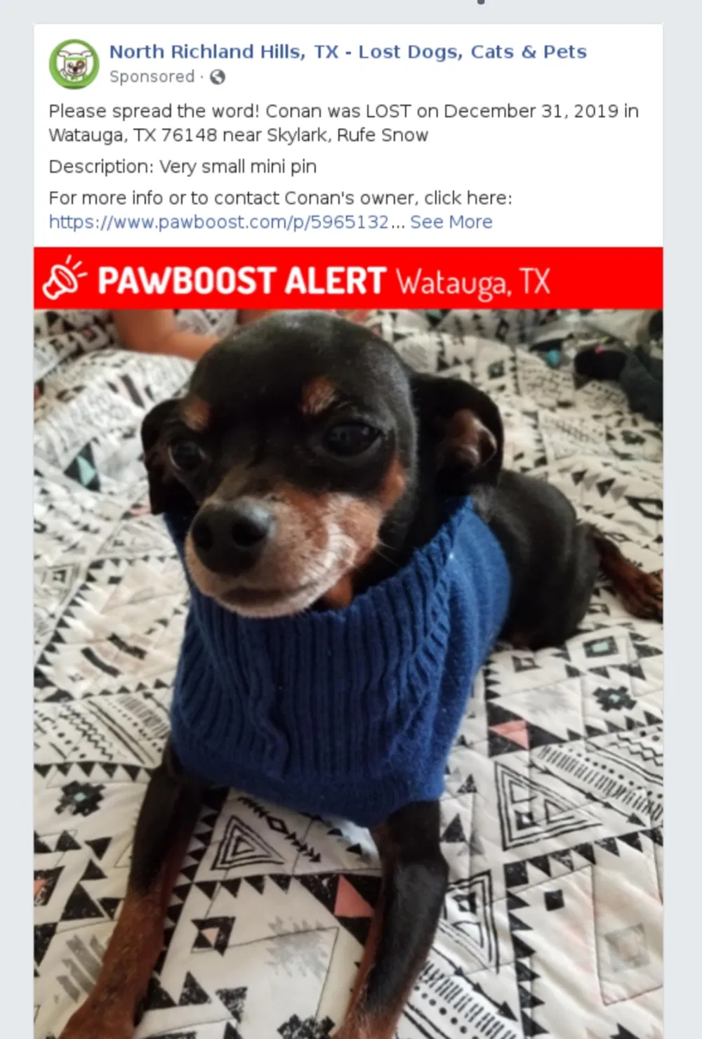 Lost dog in Fort Worth, TX, 76148