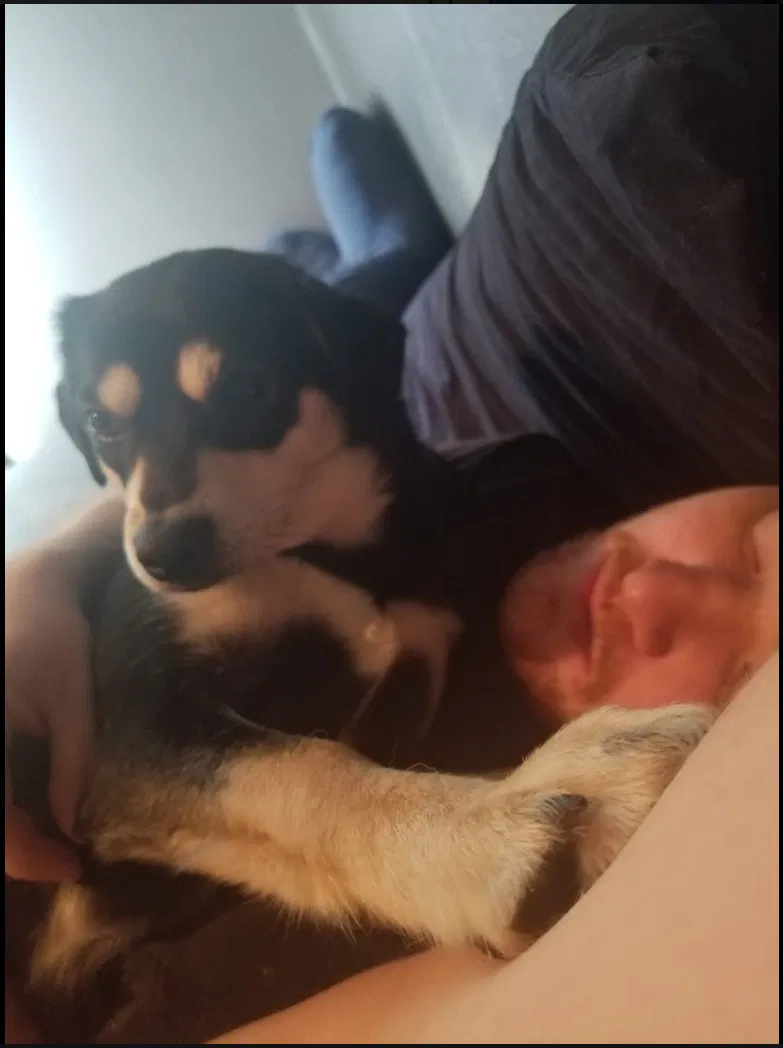 Lost dog in Norcross, GA, 30092