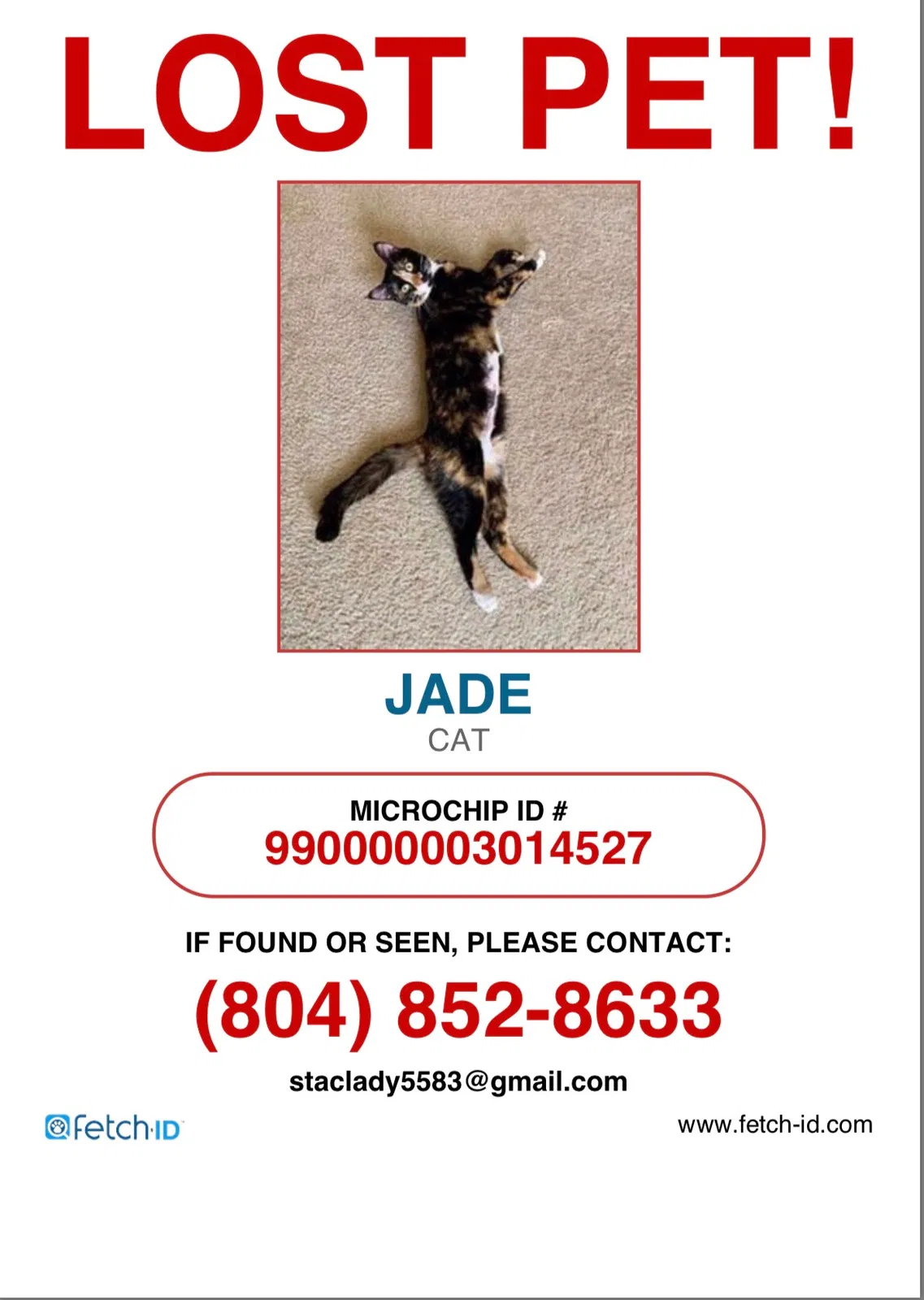 Lost cat in Mechanicsville, VA, 23116