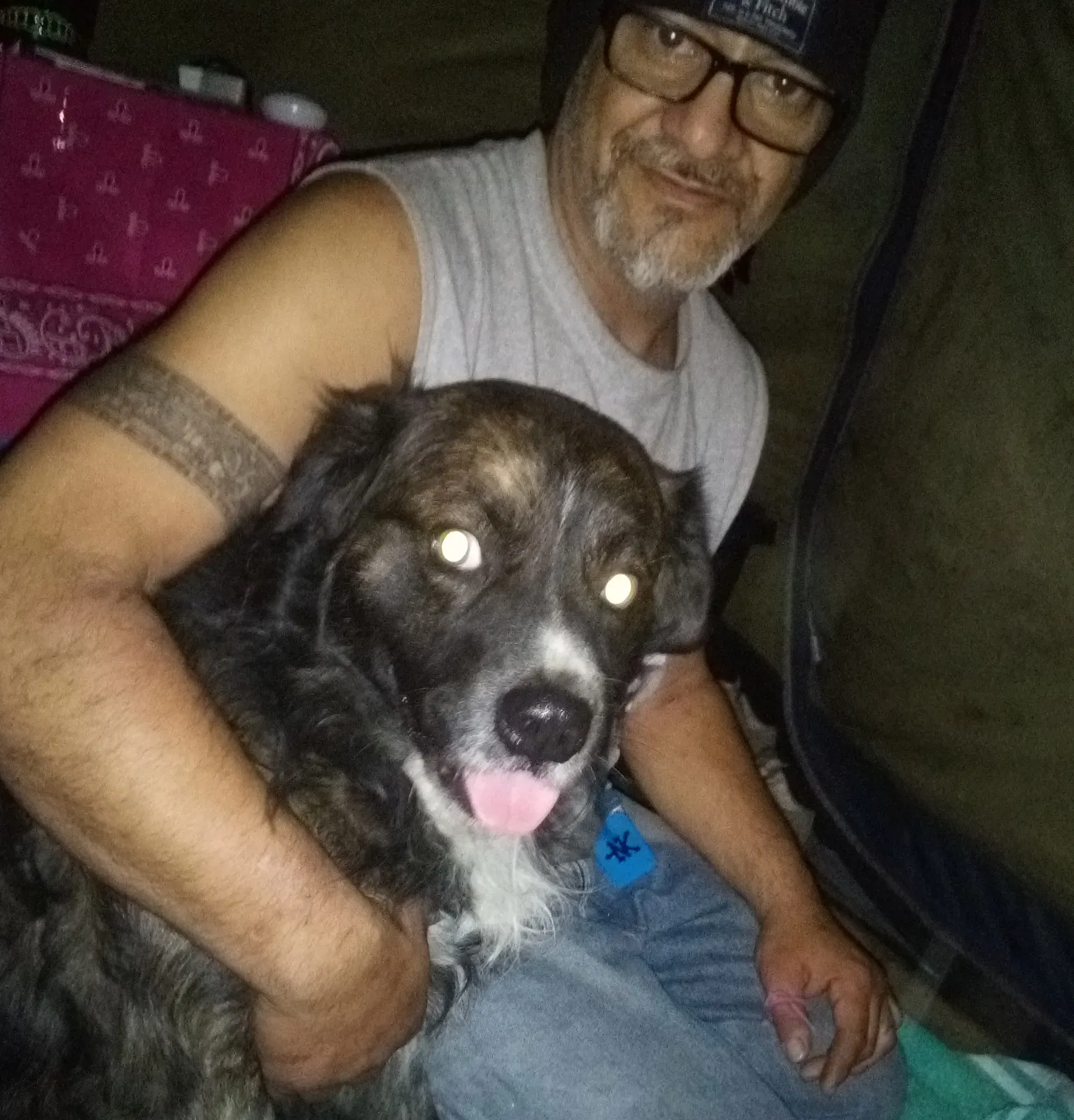 Lost dog in Bakersfield, CA, 93301