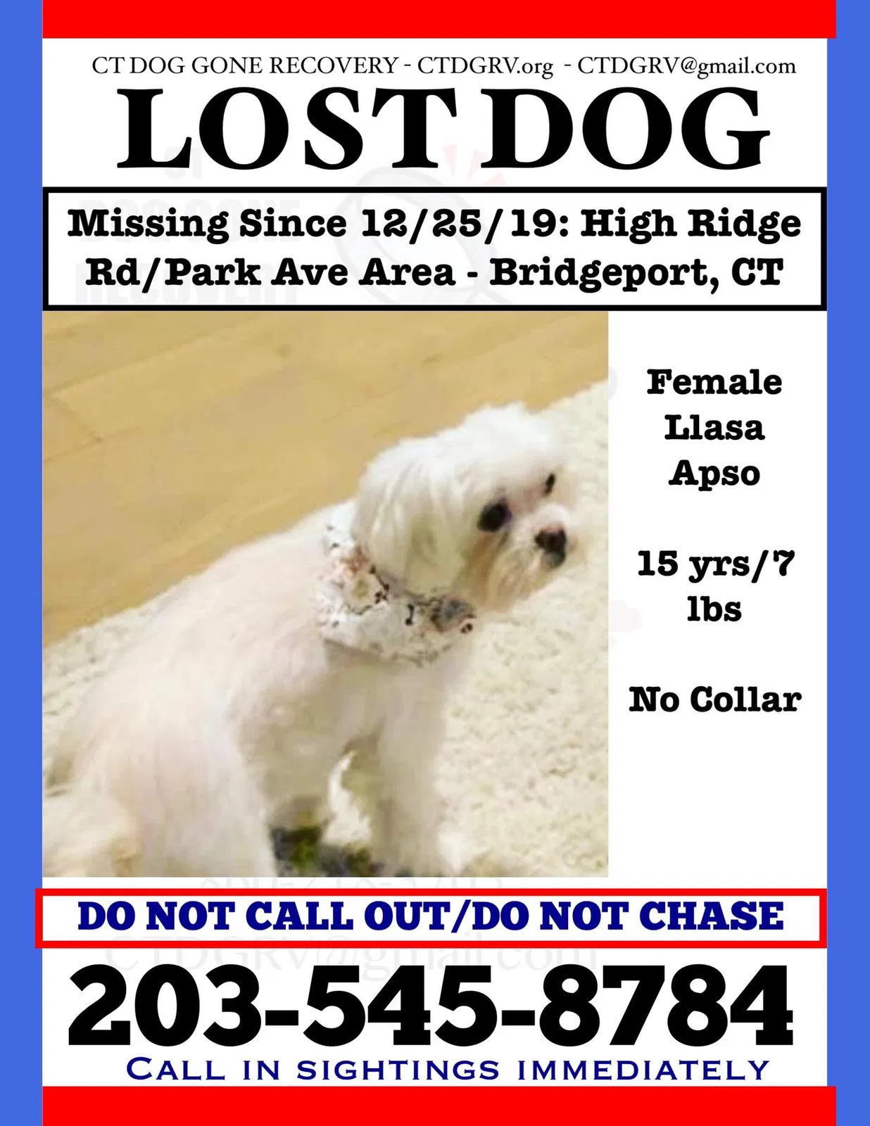 Lost dog in Bridgeport, CT, 6606