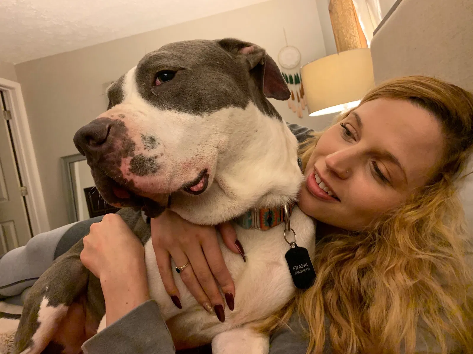 Lost dog in Roswell, GA, 30076