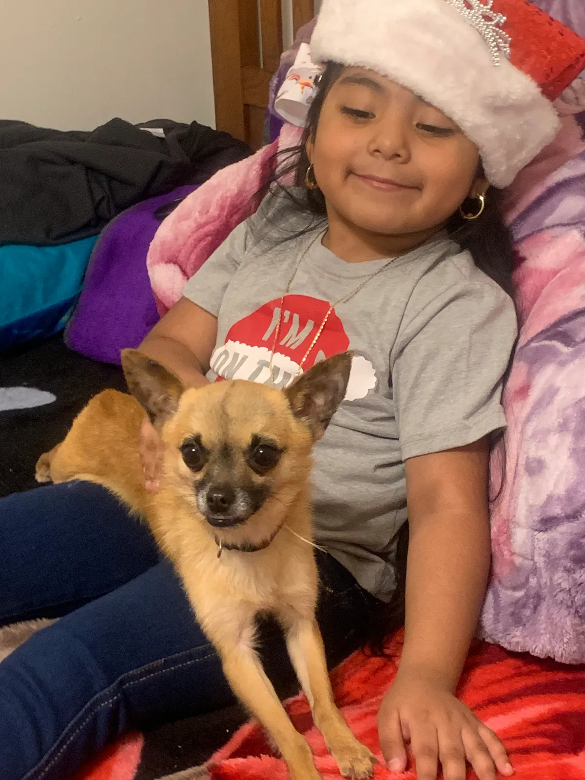Lost dog in San Bernardino, CA, 92404