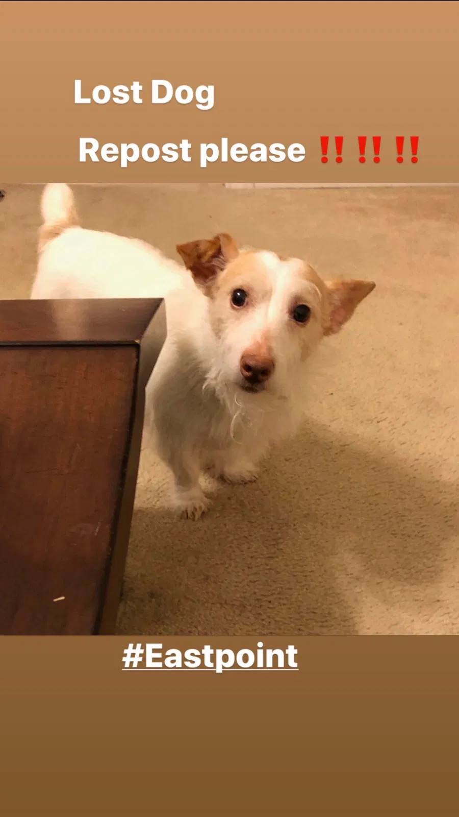 Lost dog in Atlanta, GA, 30344