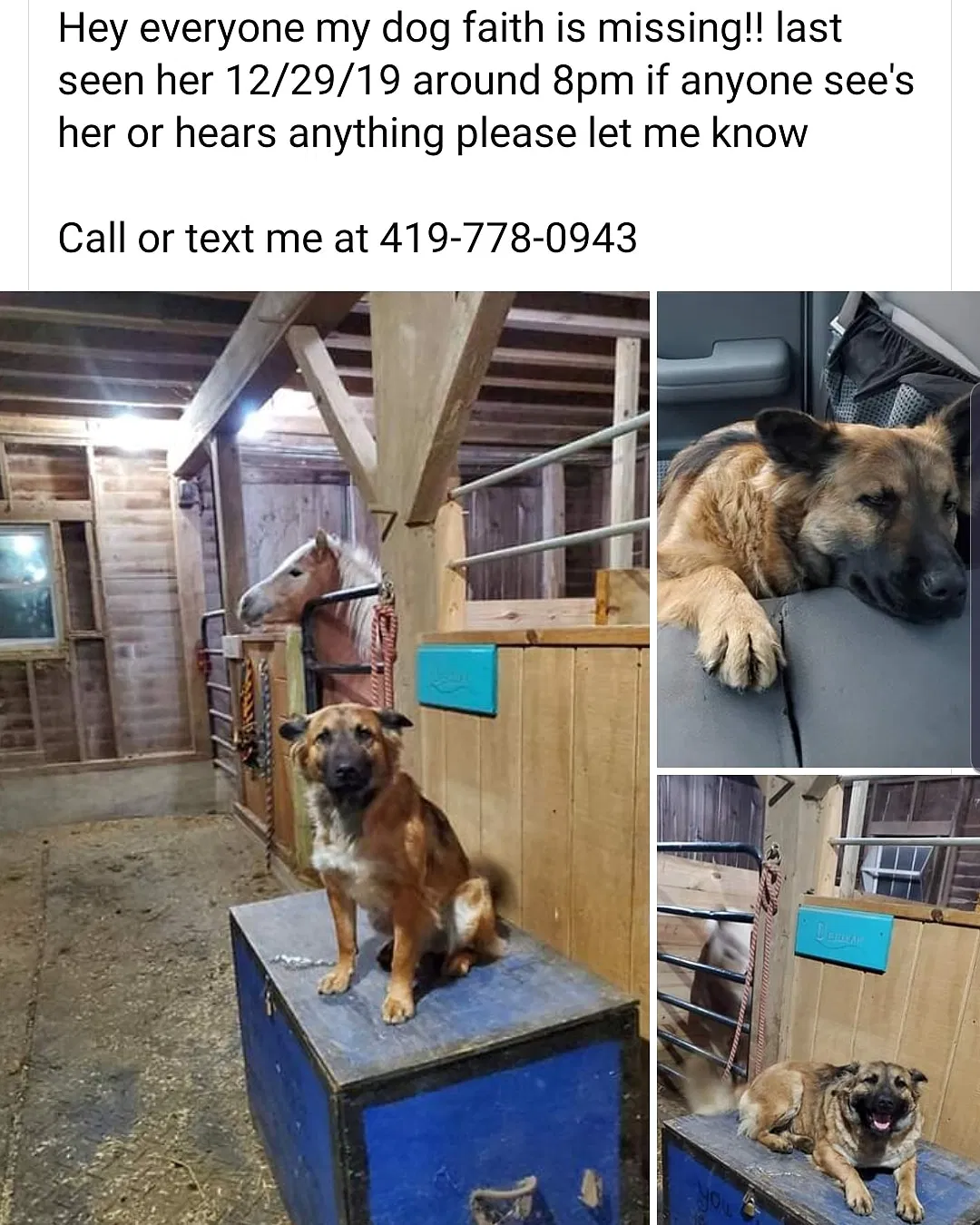 Lost dog in Saint Marys, OH, 45885