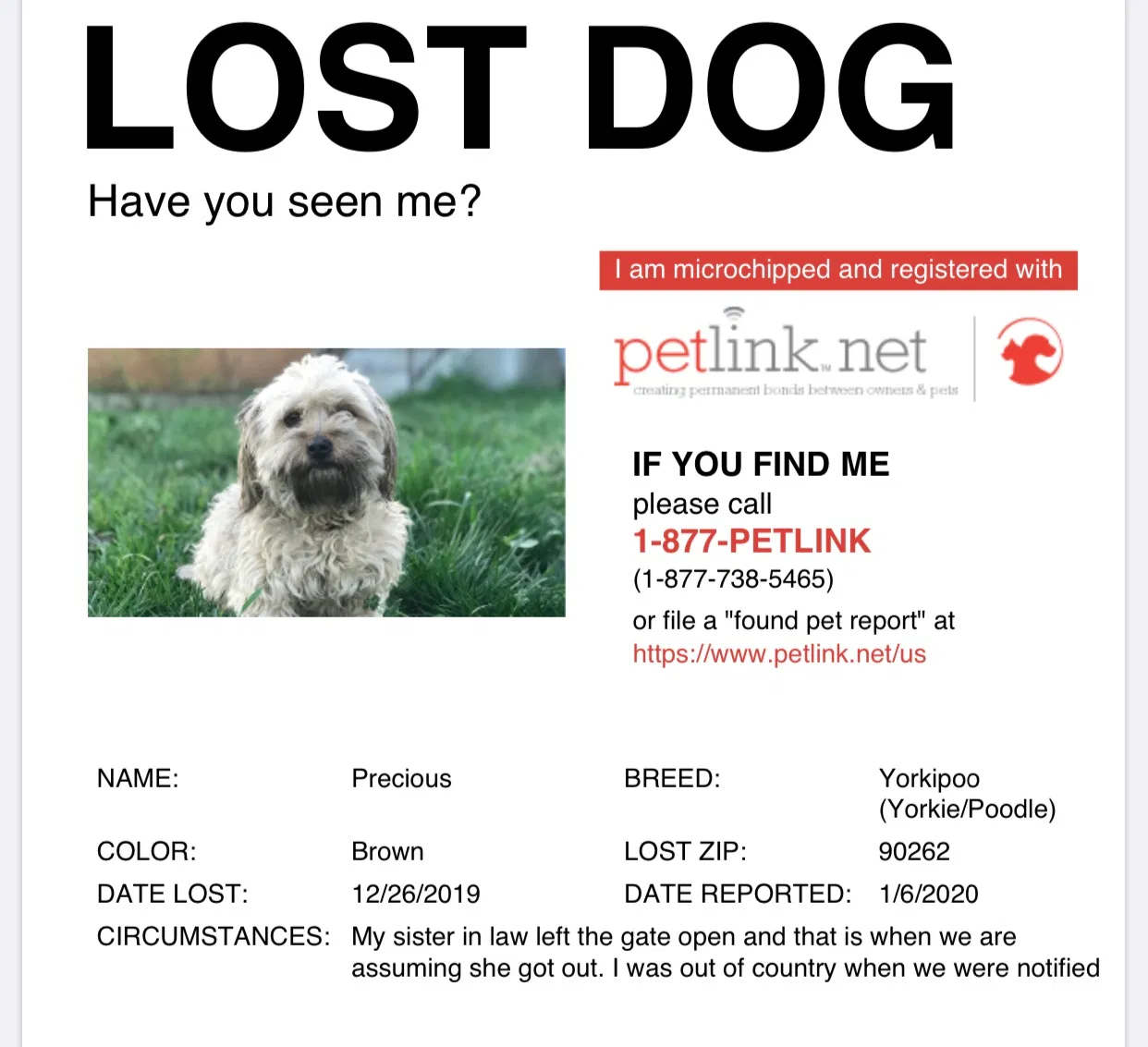 Lost dog in Lynwood, CA, 90262