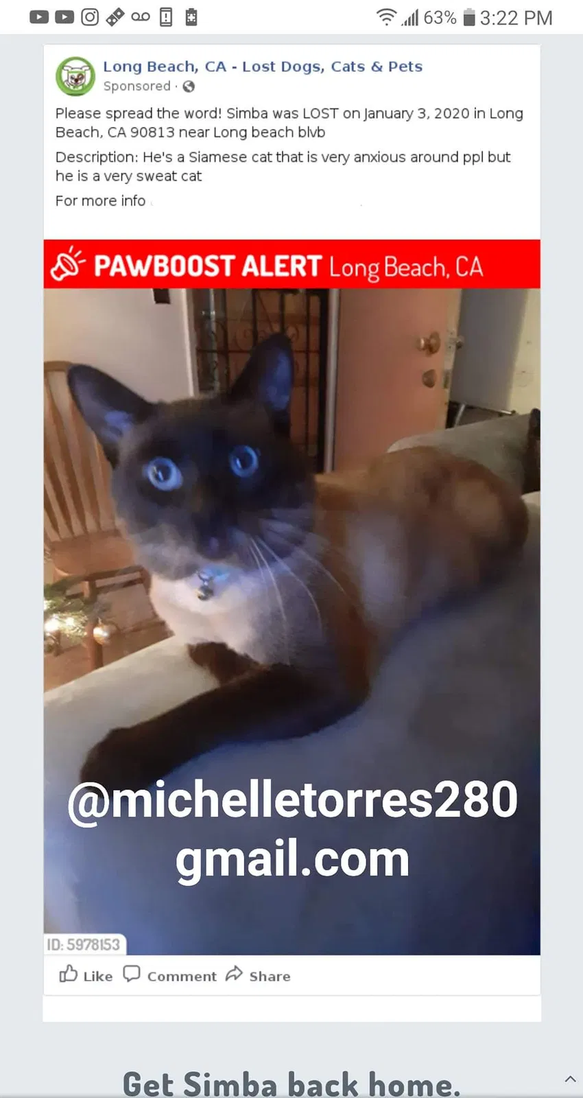 Lost cat in Long Beach, CA, 90813