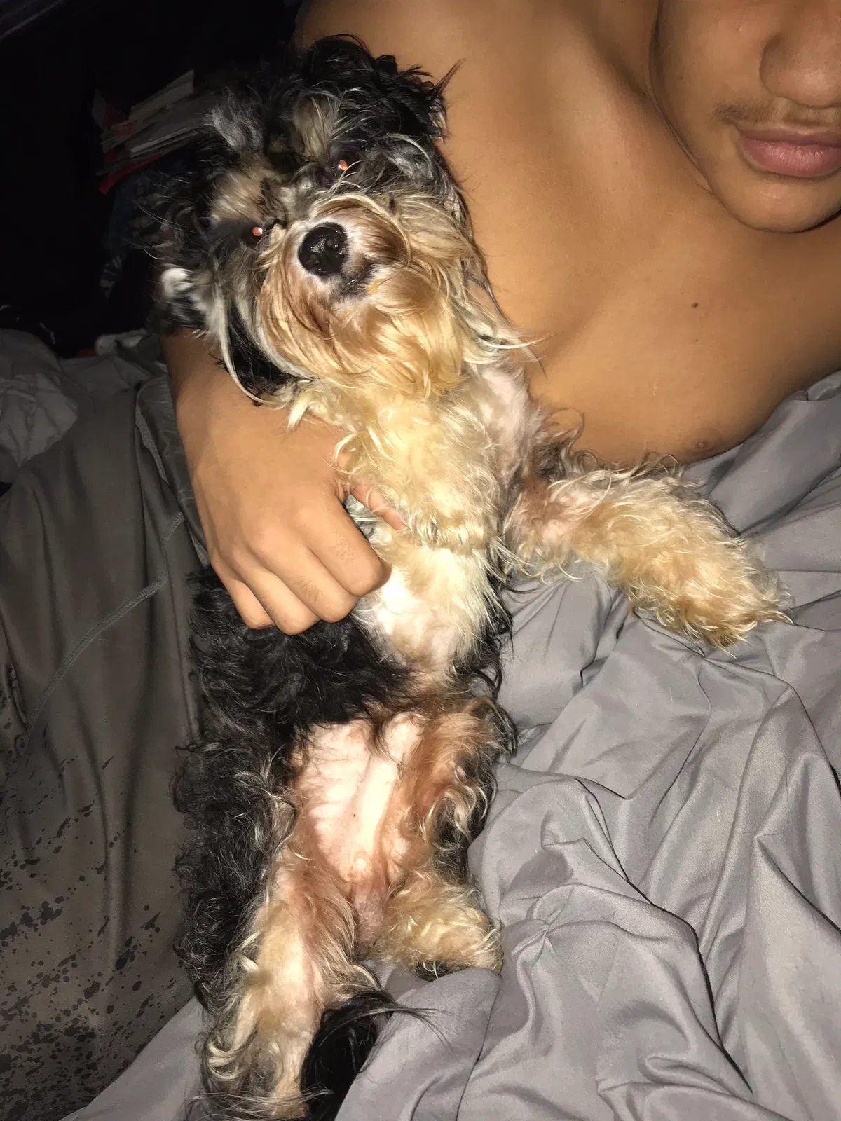 Lost dog in Tulsa, OK, 74110