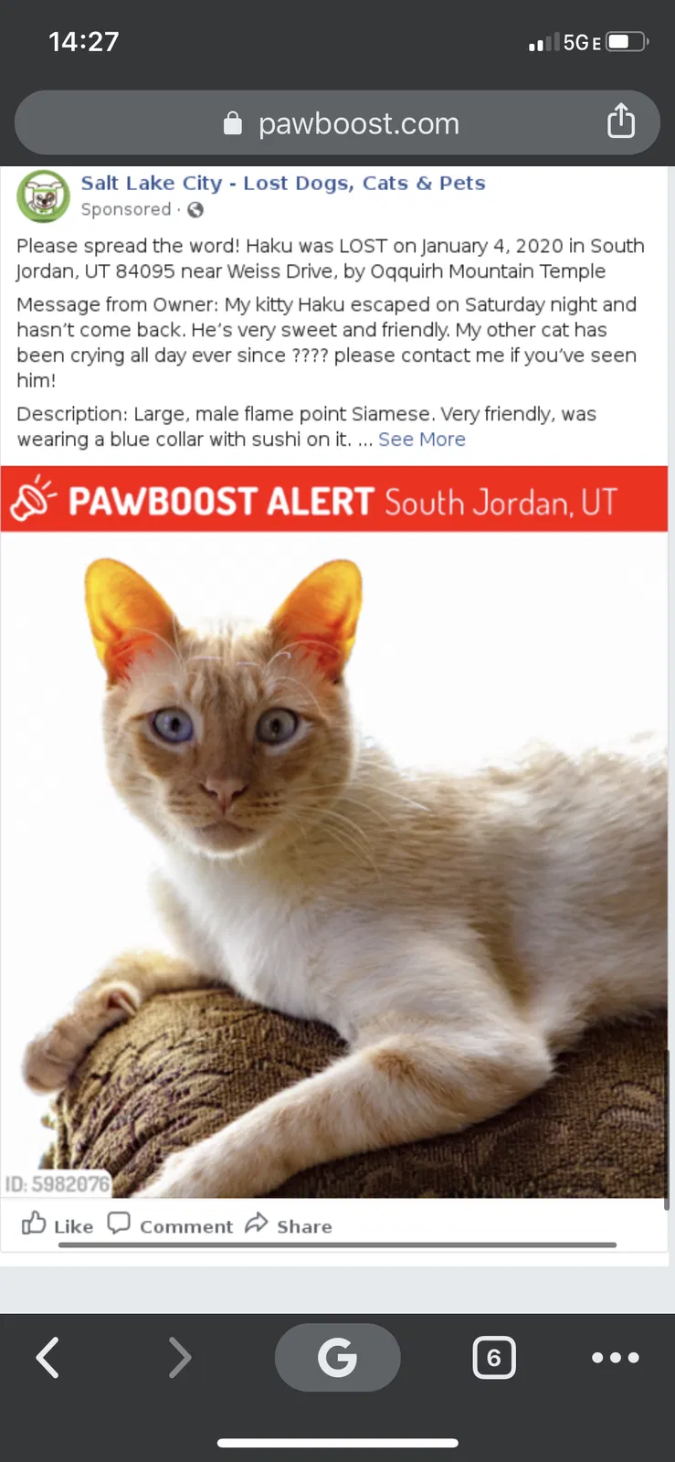 Lost cat in Unknown, UT, 84009