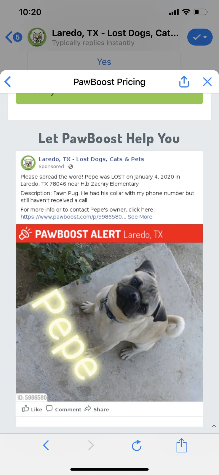 Lost dog in Laredo, TX, 78046