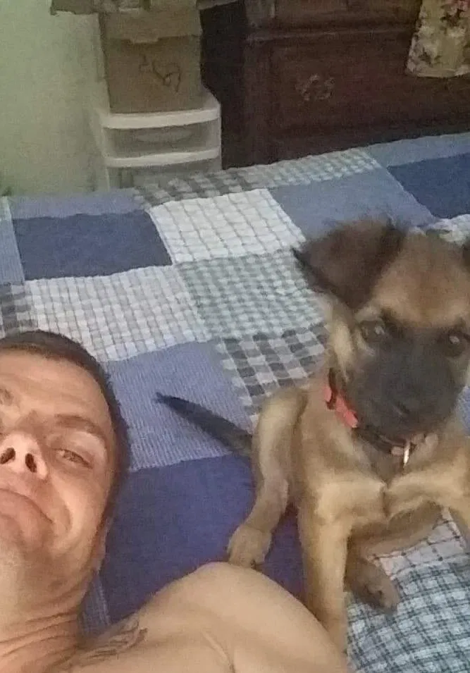Lost dog in Blenheim, SC, 29516