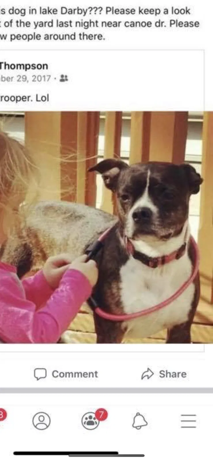 Lost dog in Galloway, OH, 43119
