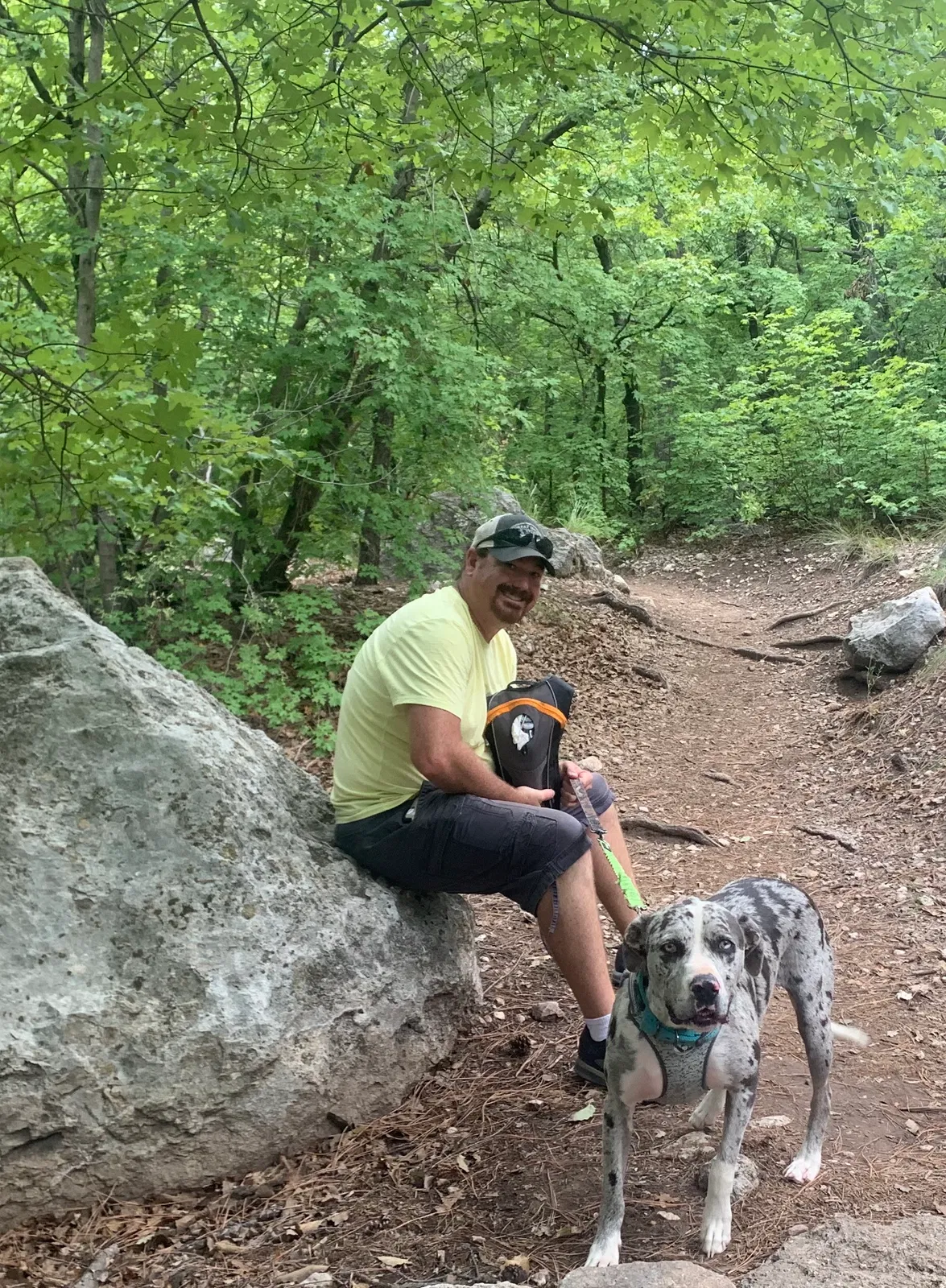 Lost dog in Snyder, TX, 79549