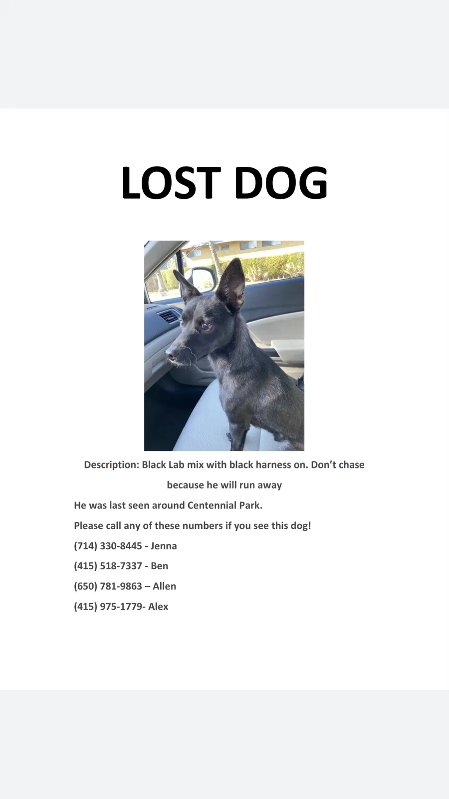 Lost dog in Tustin, CA, 92780