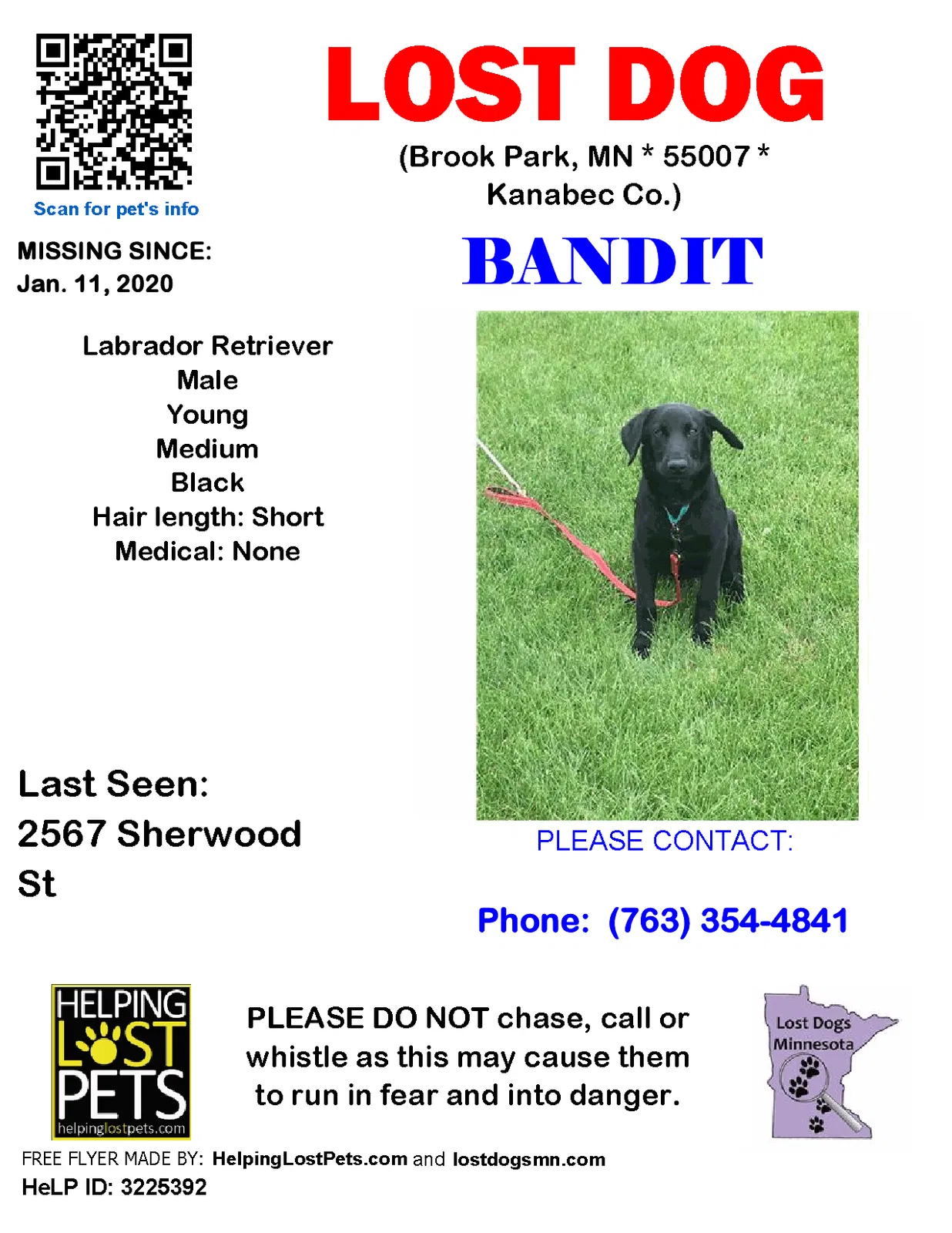 Lost dog in Brook Park, MN, 55007
