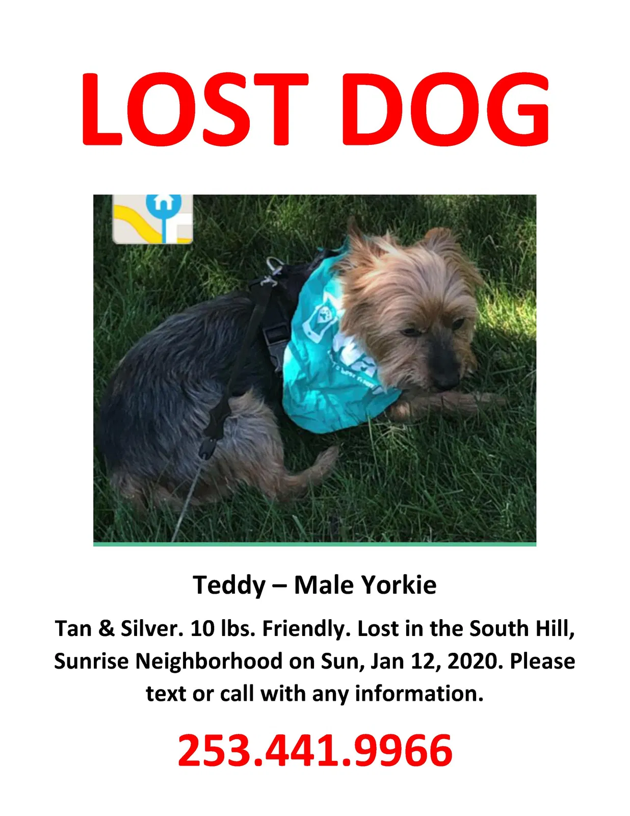 Lost dog in Puyallup, WA, 98374