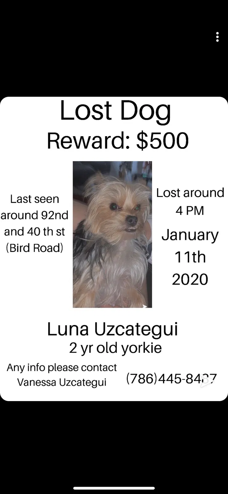 Lost dog in Miami, FL, 33165