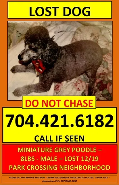 Lost dog in Charlotte, NC, 28210