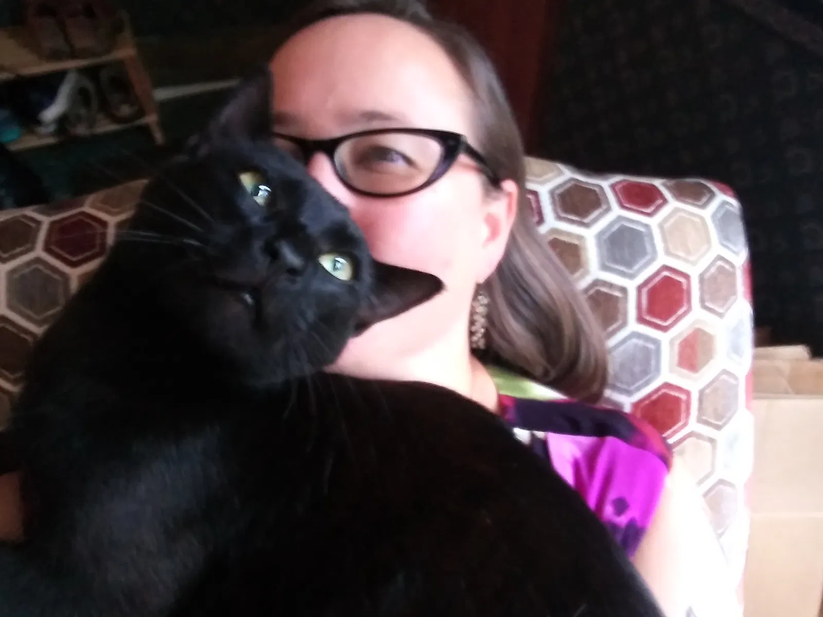 Lost cat in Edmonds, WA, 98026